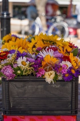 Sunflowers, asters and daisies in a crate