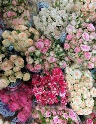 Bunches of pink, cream and red spray roses